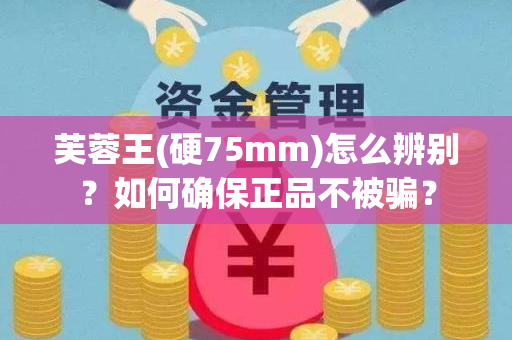 芙蓉王(硬75mm)怎么辨别？如何确保正品不被骗？